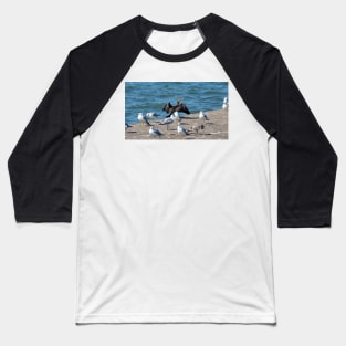 Double-crested Cormorant With A Flock Of Gulls Baseball T-Shirt